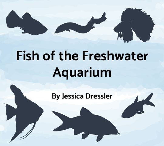 Silhouettesof freshwater fish