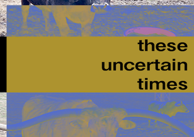 These uncertain times graphic